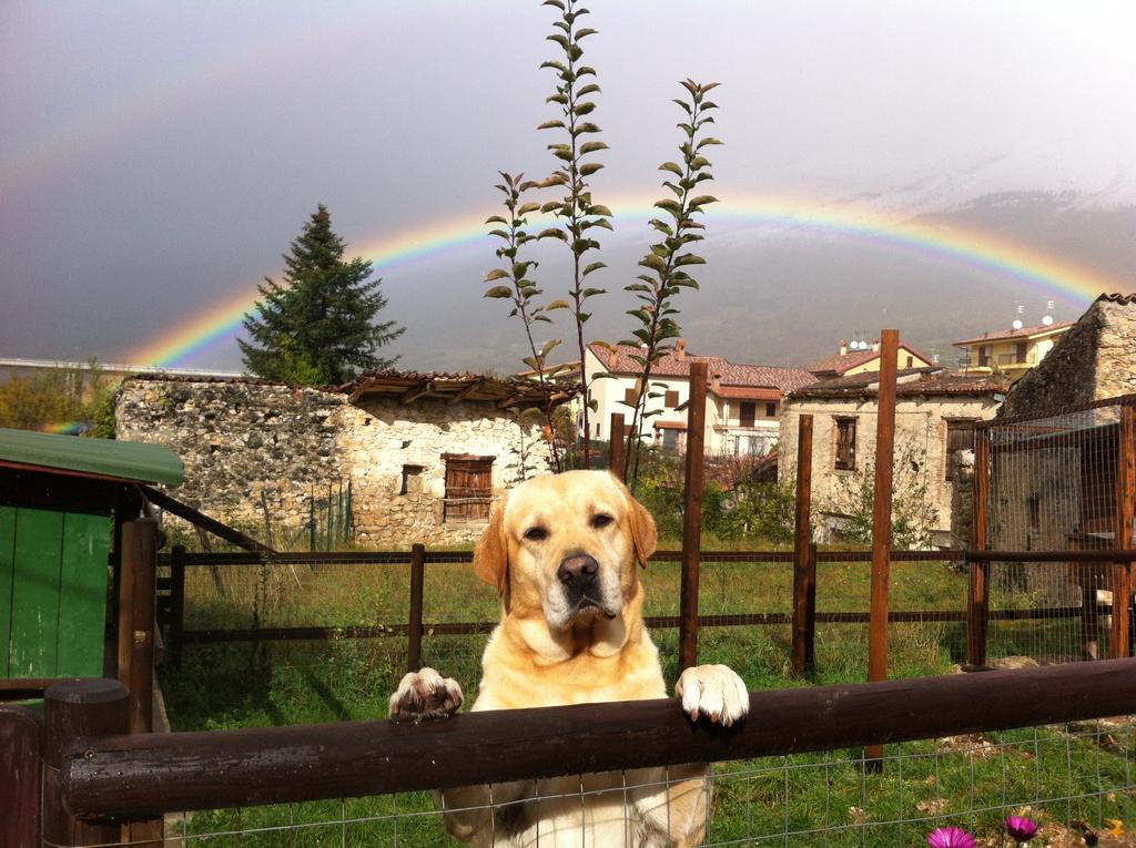 B&B Il Grottino Di Assergi Exteriér fotografie